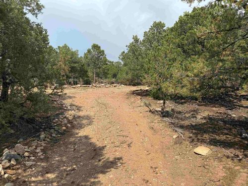 10 Lower Llano Road, Questa, NM, 87556 | Card Image