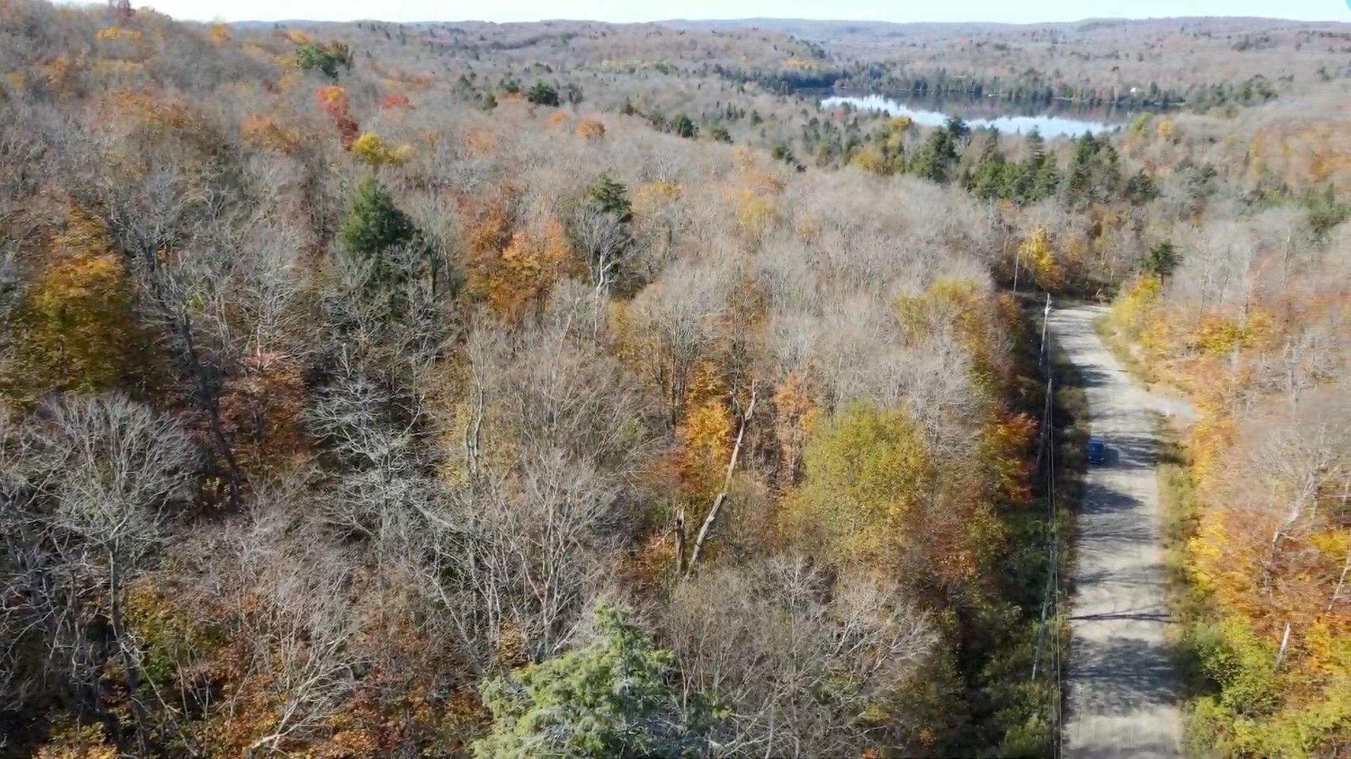 Land in Wentworth