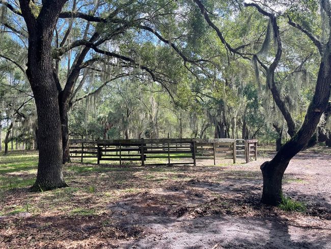 Riding Ring | Image 24