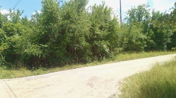 Land in Granbury 3