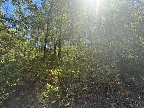 1 Track 1 Kendrick Rd, Michie, TN, 38357 | Card Image