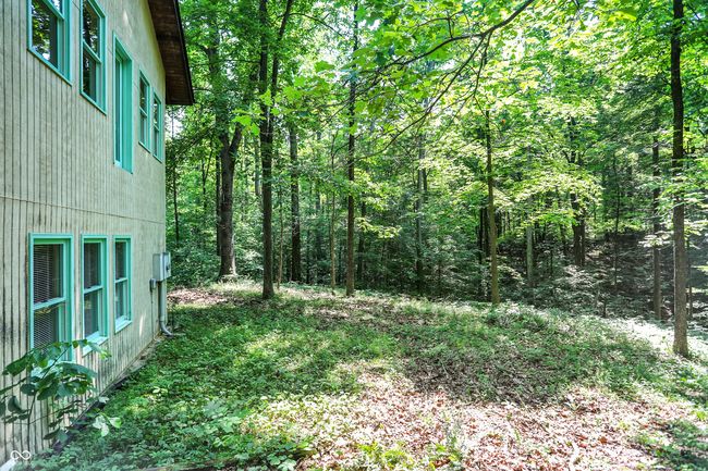 View of the yard with a view of the woods | Image 17