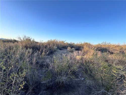 2885 Mesa Del Oro Dr, Mohave Valley, AZ, 86440 | Card Image