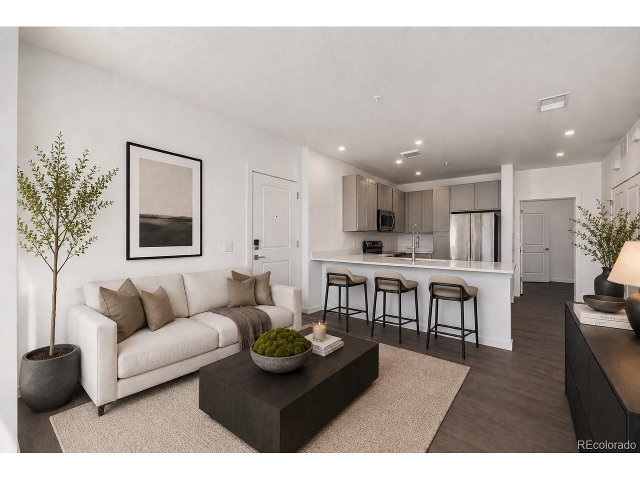 Residential in Denver 4
