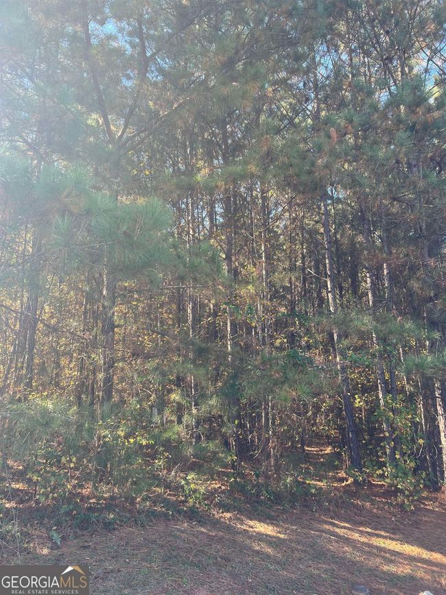 508 River Forest Dr, Home with 0 bedrooms, 0 bathrooms and null parking in Forsyth GA | Image 4