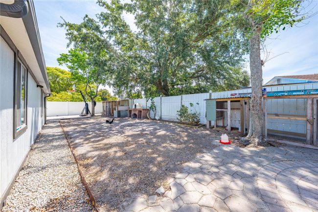 Backyard | Image 42