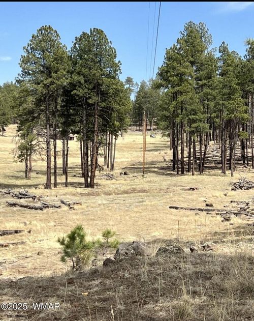 Lot E Forest Road 26, Alpine, AZ, 85920 | Card Image
