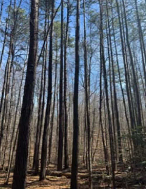 4-626 Holiday Lake Rd, Pamplin, VA, 23958 | Card Image