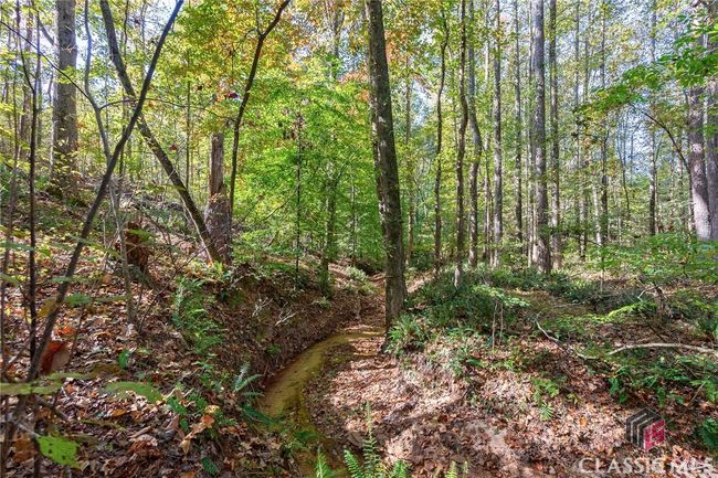 0 Bob Smith Rd, Home with 0 bedrooms, 0 bathrooms and null parking in Stephens GA | Image 27