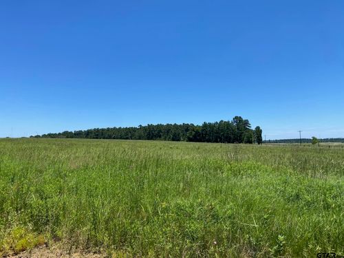 TBD County Road 4025, Crockett, TX, 75835 | Card Image