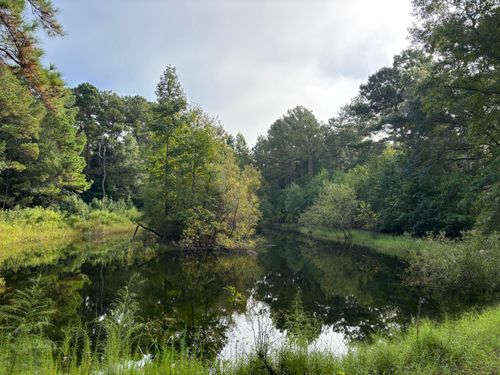 0 Providence Cir, Awendaw, SC, 29429 | Card Image