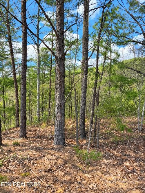 90 Mountain Blvd, Sevierville, TN, 37876 | Card Image