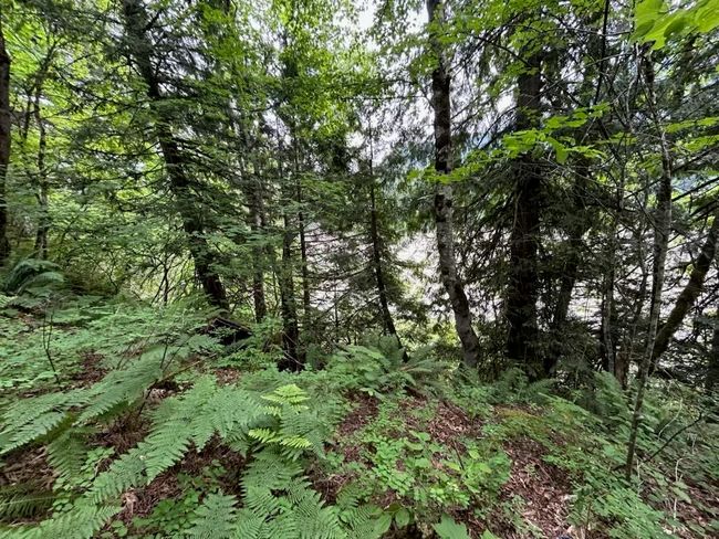 Lot 6 Trans Canada Highway, Home with 0 bedrooms, 0 bathrooms and null parking in Yale BC | Image 28