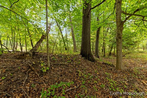 1 Maple St, Muir, MI, 48860 | Card Image