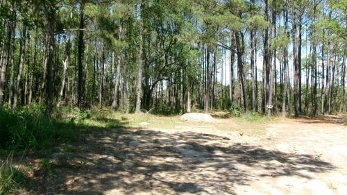 1108 Saint Thomas Island Dr, Wando, SC, 29492-7650 | Card Image