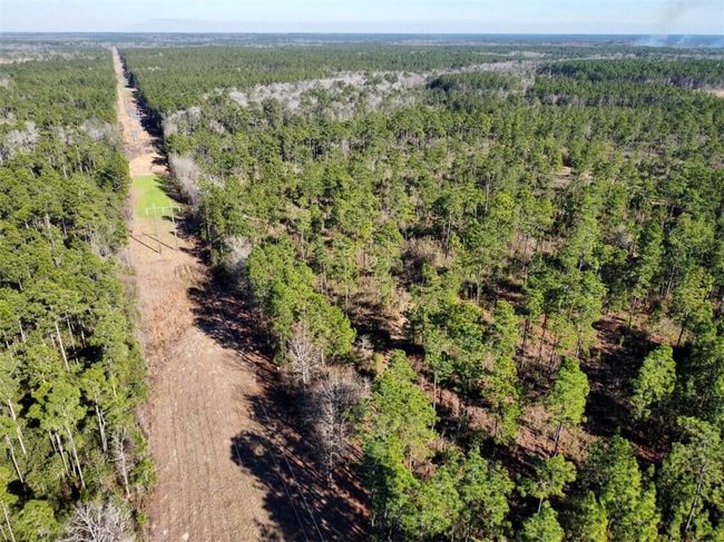 0 Robert White Rd, Home with 0 bedrooms, 0 bathrooms and null parking in Bay Minette AL | Image 31