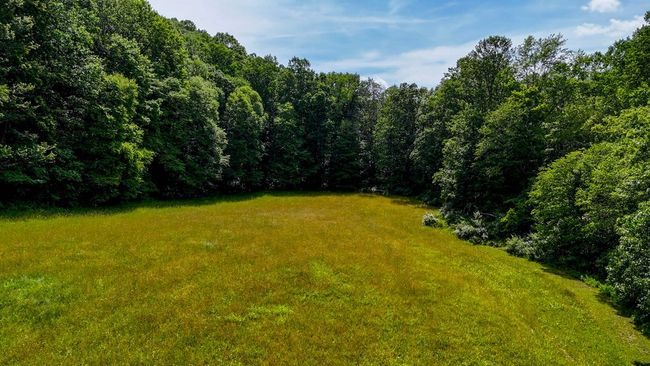 2486 Laurel Fork Rd, Home with 0 bedrooms, 0 bathrooms and null parking in Rocky Gap VA | Image 53