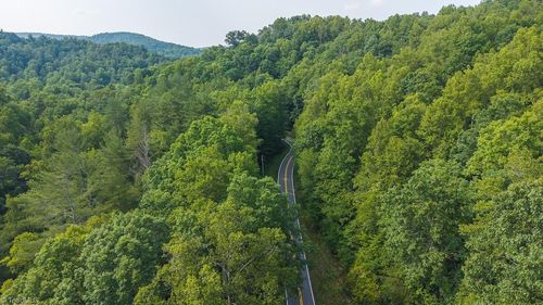 TBD Brushy Mountain Rd, Moravian Falls, NC, 28654 | Card Image