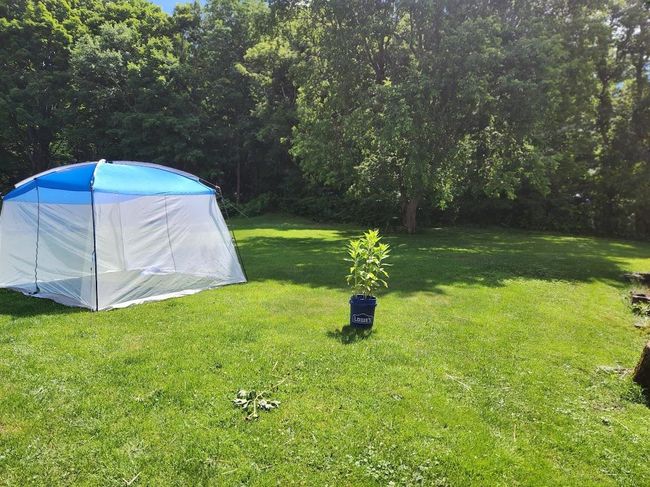 46 Hillside Ave, House other with 3 bedrooms, 1 bathrooms and null parking in East Barre VT | Image 6