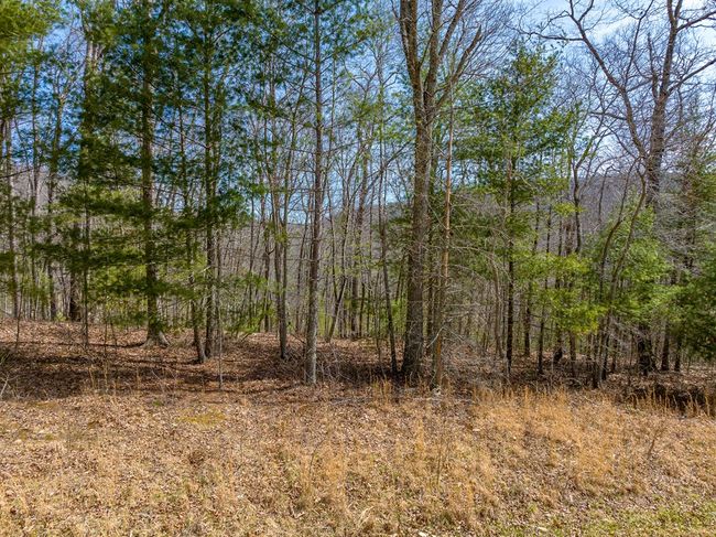 Lot 6 N Sunset Lane, Home with 0 bedrooms, 0 bathrooms and null parking in Bland VA | Image 24
