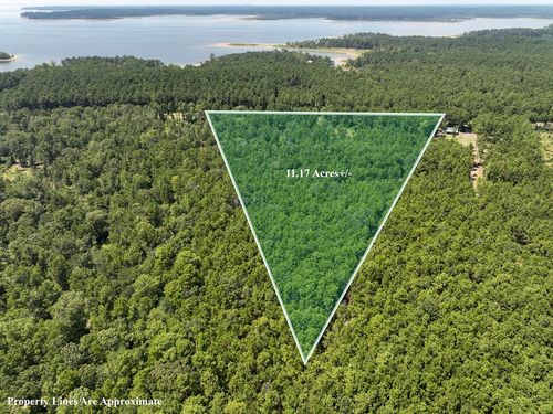 TBD County Road 4930, Broaddus, TX, 75929 | Card Image
