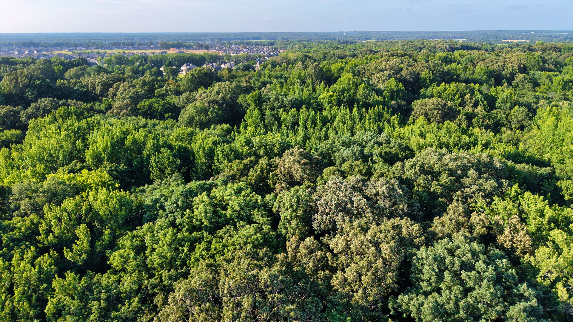 Land in Arlington 4