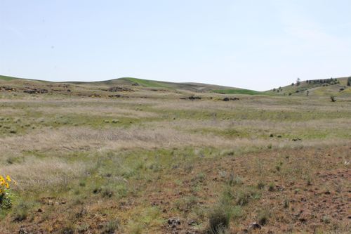 XXXX S Rock Lake Rd, Cheney, WA, 99004 | Card Image