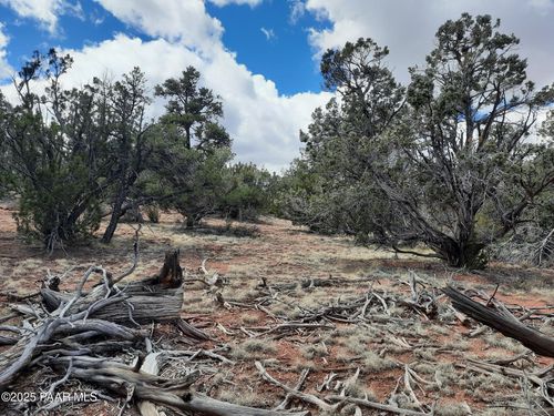 55660 N La Bruja Rd, Seligman, AZ, 86337 | Card Image