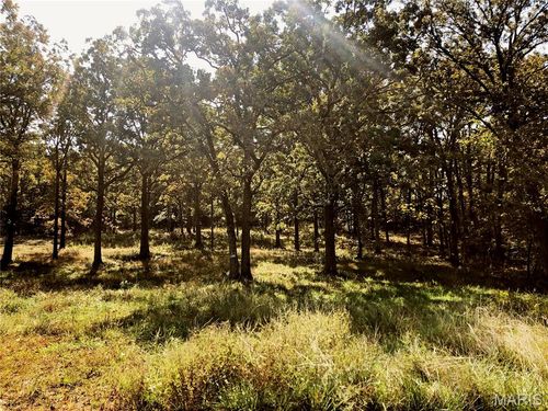 10240 County Road 3060, Rolla, MO, 65401-8190 | Card Image