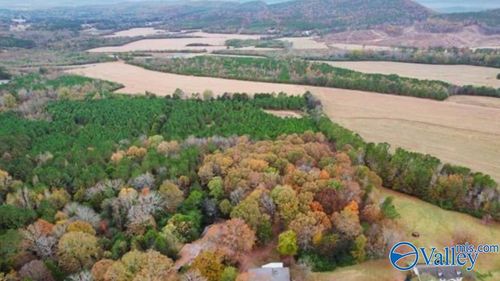 21.5 acres +/- County Road 91, Gaylesville, AL, 35973 | Card Image