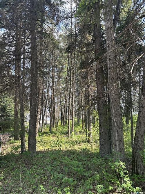 305 Spruce Rd, Livelong, SK, S0M1J0 | Card Image