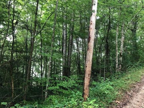 00 Springwood Lake Rd, Robbinsville, NC, 28771 | Card Image