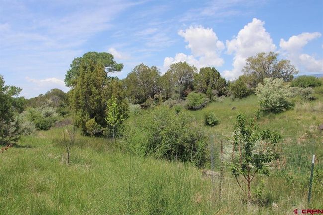 14433 2600 Rd, Home with 0 bedrooms, 0 bathrooms and null parking in Cedaredge CO | Image 30