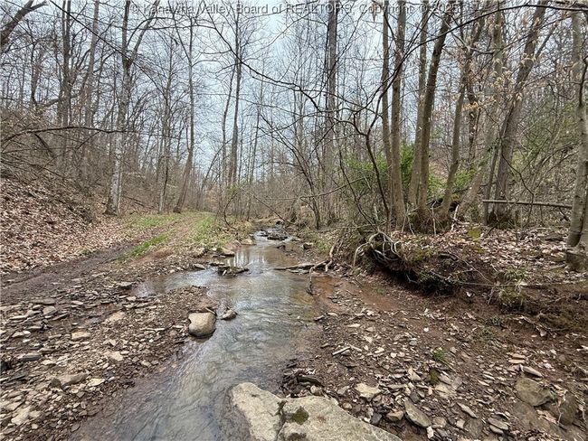 3177 Mount Union Rd, Home with 0 bedrooms, 0 bathrooms and null parking in Fraziers Bottom WV | Image 14
