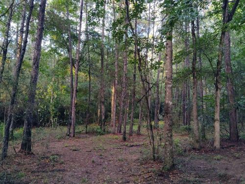 232 Texas Grand Rd, Huntsville, TX, 77340-1047 | Card Image