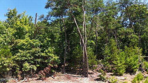 Lot 2 Flat Woods Rd, Dandridge, TN, 37725 | Card Image