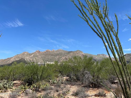 142-1458 E Desert Garden Drive, Tucson, AZ, 85718 | Card Image