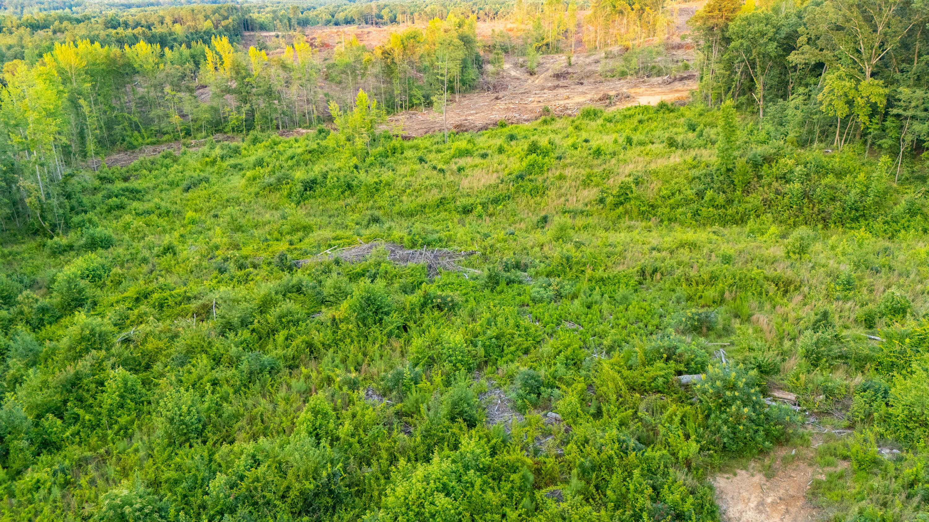 Land in Guin 3
