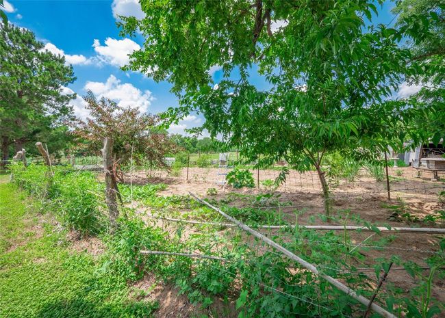 209 Old Sayers Rd, House other with 3 bedrooms, 2 bathrooms and 4 parking in Elgin TX | Image 26