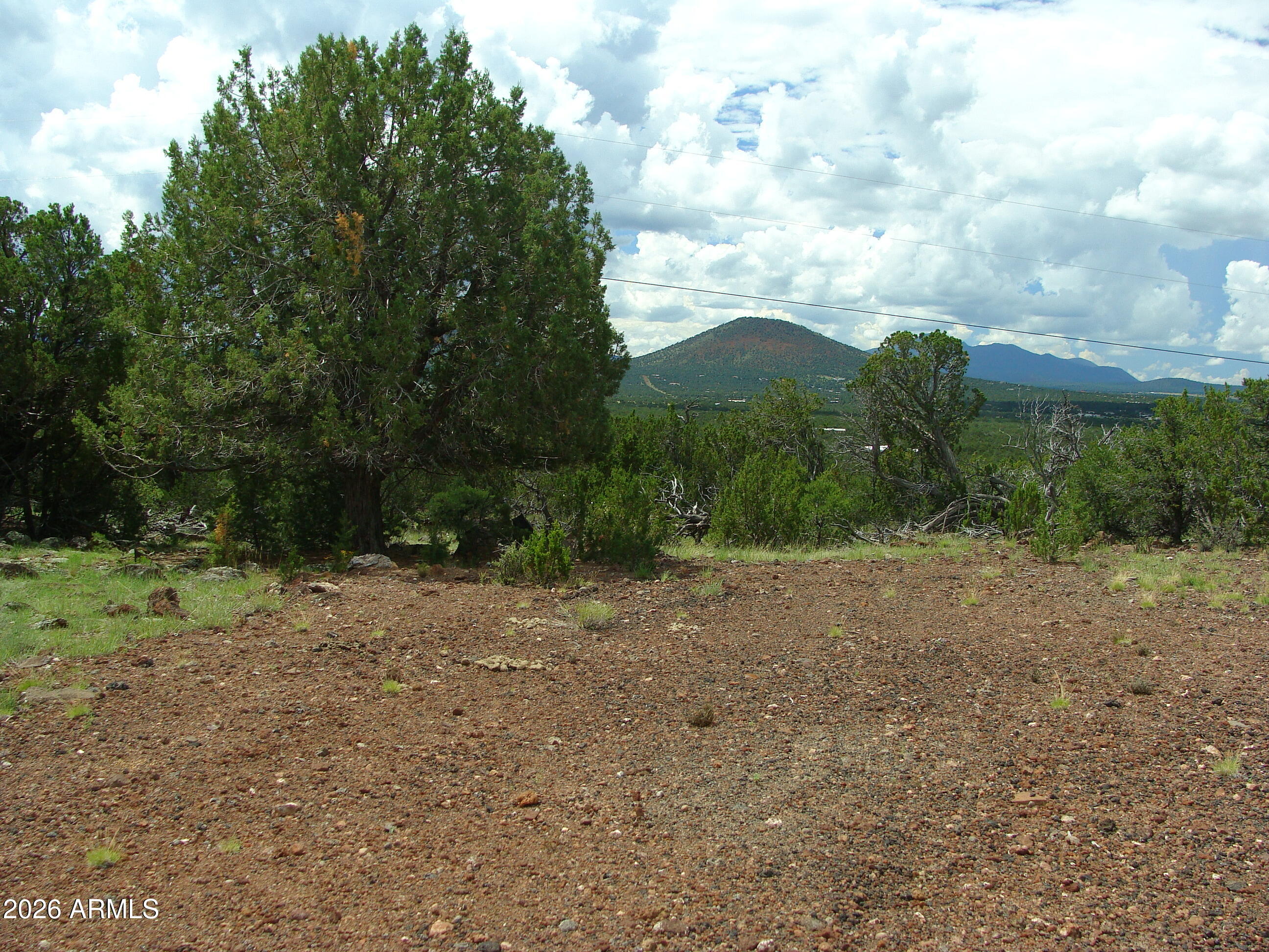 Land in Seligman 3