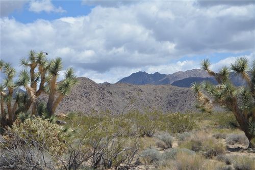 11869 Dateland Rd, Yucca, AZ, 86438 | Card Image