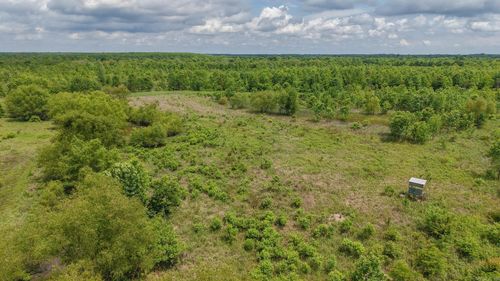 TBD Miller County 65, Texarkana, AR, 71854 | Card Image