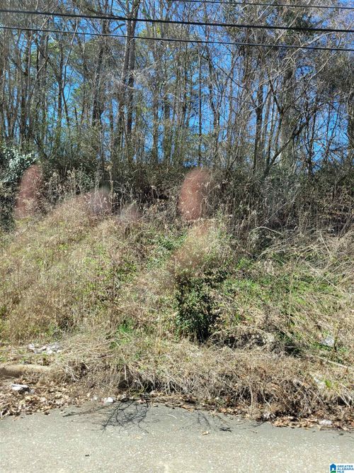 use-1920 Veterans Memorial Dr, FORESTDALE, AL, 35214-2048 | Card Image