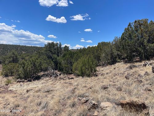 15 Oak Dr, Concho, AZ, 85924 | Card Image