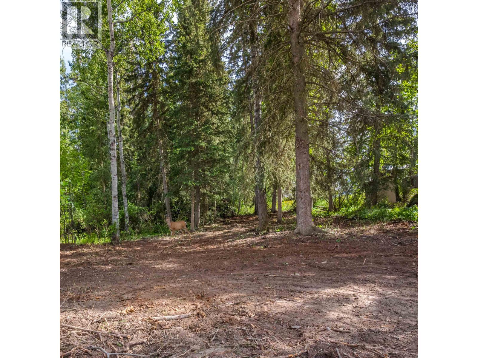 Land in Horse Lake 3