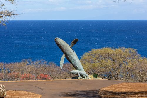 2891-56-2891 Haleakala View Pl, HAWI, HI, 96719 | Card Image