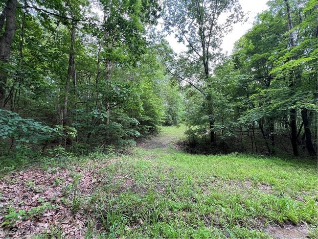 View of tree filled area | Image 14
