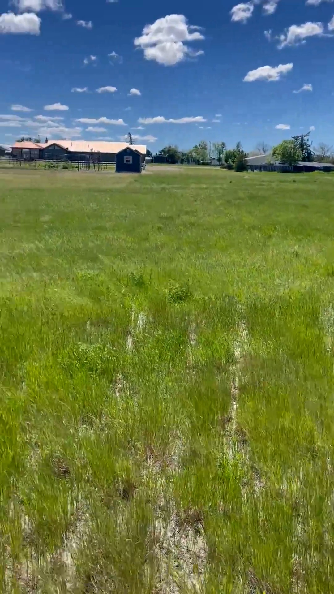 Land in Valier 5