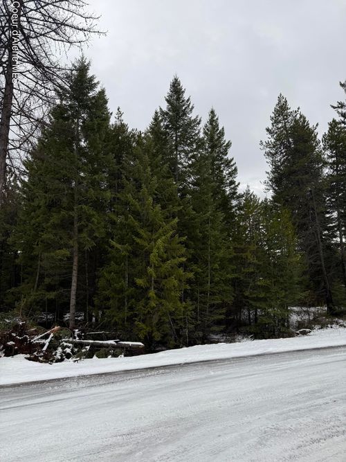 NKA Van Buren St., Spirit Lake, ID, 83869 | Card Image