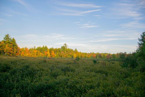 TBD New Dam Rd, North Waterboro, ME, 04061 | Card Image